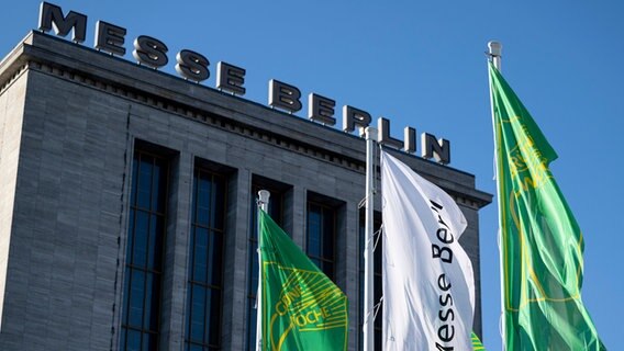 Flaggen mit dem Logo der Internationalen Grünen Messe wehen vor dem Eingang der Messe Berlin © Fabian Sommer/dpa 