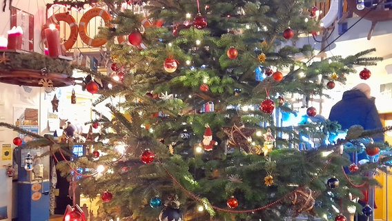 Der prächtige Weihnachtsbaum im Foyer des Duckdalben © NDR Foto: Aniela von Porthan