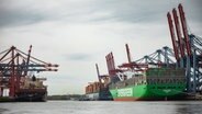 Container-Schiffe stehen am Burchardkai im Hamburger Hafen. © IMAGO / Horrmann Kislichko GbR 