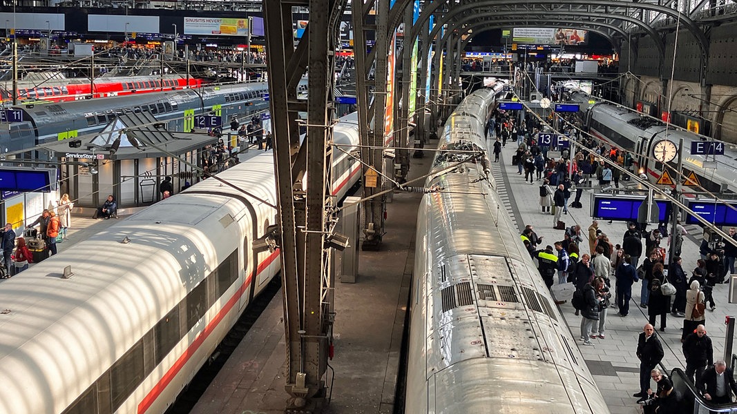 Mehrere Züge stehen an den Bahnsteigen des Hauptbahnhofs in Hamburg.