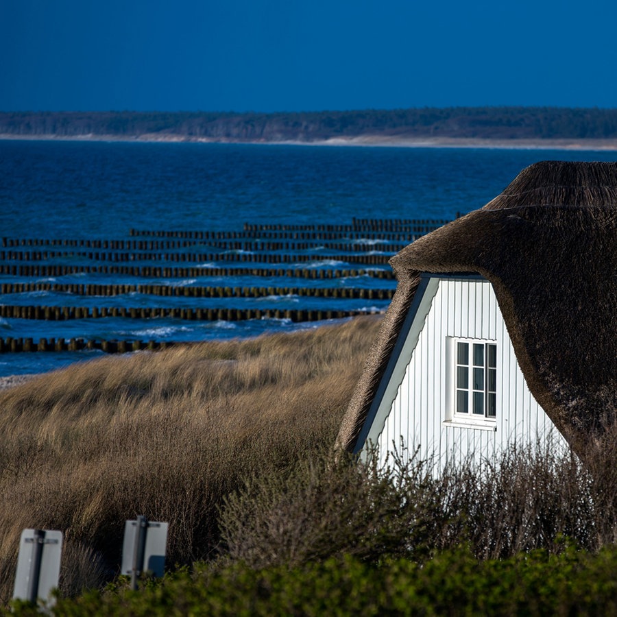 Ein Haus mit Reetdach am Strand von Ahrenshoop (Mecklenburg-Vorpommern) in den Dünen am Strand. © picture alliance / ZB Foto: Jens Büttner