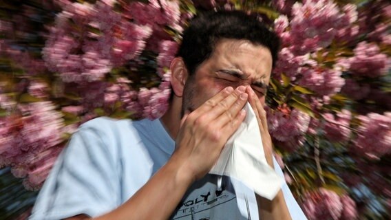 Ein junger Mann niest in ein Taschentuch © dpa 