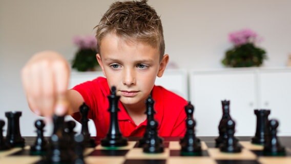 Ein Junge spielt Schach © Colourbox Foto: Mikkel Bigandt