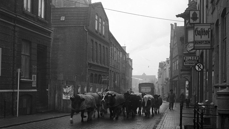 Eine historische Aufnahme der hohlen Gasse in Husum. © Kreisarchiv, Sammlung Hoffmann