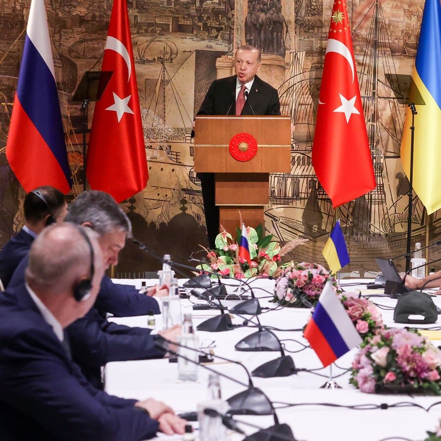 Der türkische Präsident Erdogan spricht bei einer Verhandlungsrunde zwischen Vertretern der Ukraine und Russlands. © picture alliance/dpa/TASS | Sergei Karpukhin 