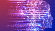Eine Grafik, die die Form eines Kopfes zeigt, in den - und aus dem -  Daten strömen. © colourbox Foto: oleksandr-omelchenko