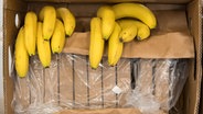Päckchen mit je einem Kilo Kokain liegen mit Bananen in einer Bananenkiste © picture alliance / Peter Kneffel/dpa | Peter Kneffel Foto: Peter Kneffel