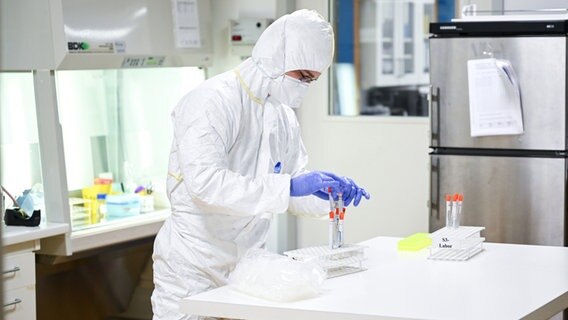 Ein Mitarbeiter eines Labors befüllt einen Ständer mit diversen Abstrichröhrchen. © dpa Foto: Felix Kästle