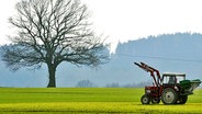 Ein Landwirt düngt sein Feld. © dpa Foto: Uwe Zucchi