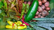 Die Biogemüse-Kiste einer solidarischen Landwirtschaft ist mit diversen Gemüsesorten gefüllt © picture-alliance/dpa 
