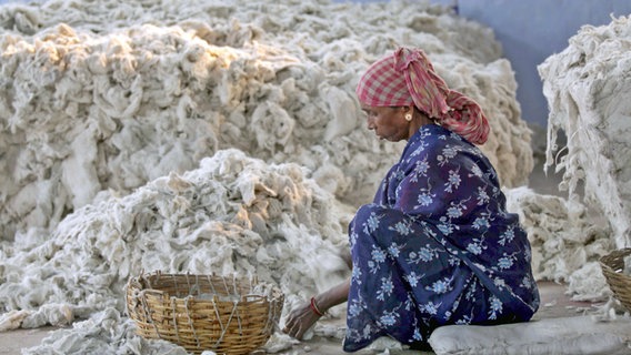 Eine Frau sortiert in Indien Baumwolle für den Baumwollmarkt © picture alliance/dpa/EPA 