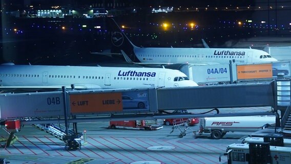 Ein Flugzeug der Airline Lufthansa am Hamburger Flughafen © Marcus Brandt/dpa Foto: Marcus Brandt