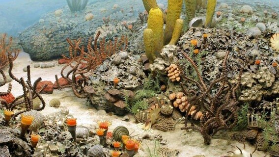 Eine Illustration zeigt einen Meeresboden, wie er vor dem Perm-Trias-Massenaussterben vor 252 Millionen Jahren ausgesehen haben könnte. © University of Michigan Museum of Natural History 