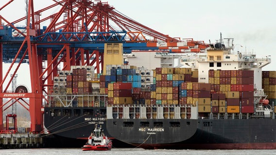 Das Containerschiff MSC Maureen legt vom Containerterminal Eurogate in Hamburg ab © picture alliance / SvenSimon Foto: Malte Ossowski/SVEN SIMON