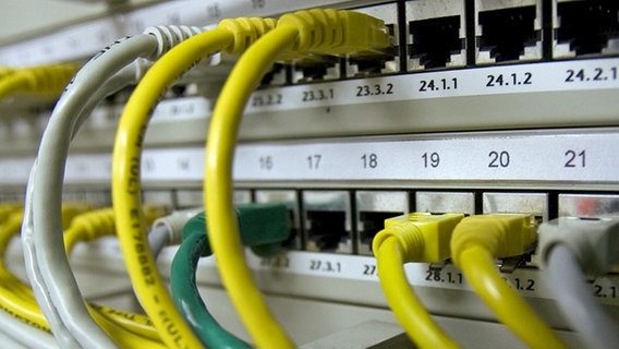 Netzwerkkabel in einem Verteiler für Internetverbindungen © dpa Foto: Arno Burgi