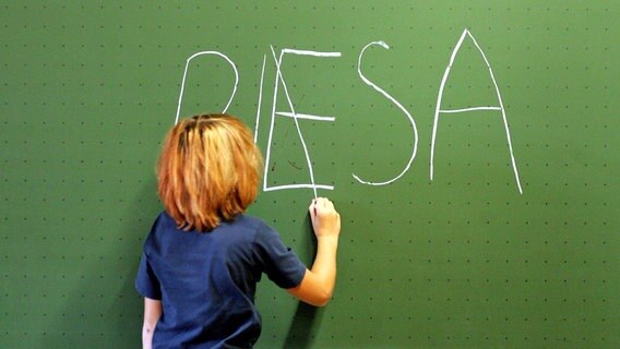 Ein Schueler der 5. Klasse korrigiert das falsch geschriebene Wort "PISA" auf einer Tafel. © dpa Foto: Julian Stratenschulte