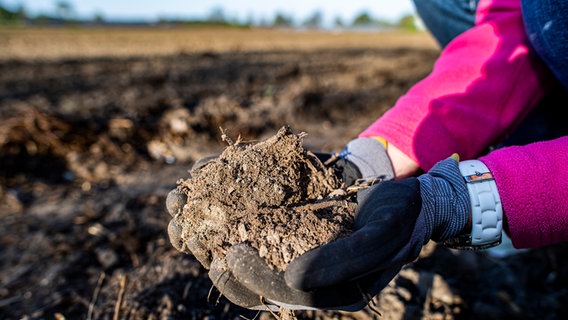 Eine Landwirtin nimmt ein Stück trockene Erde in die Hände. © picture alliance Foto: Kirchner-Media