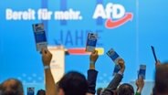 Delegierte der AfD Europawahlversammlung heben ihre Stimmkarten. © dpa Foto: Klaus-Dietmar Gabbert