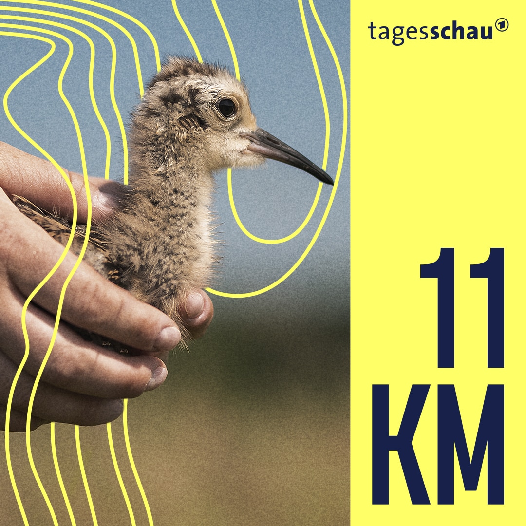 11KM: der tagesschau-Podcast
