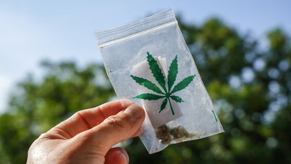 Hand hält einen Beutel mit selbst angebautem Marihuana bzw. Cannabis. © picture alliance Foto: MICHAEL BIHLMAYER