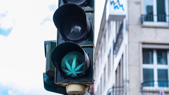 Eine Ampel zeigt ein grünes Cannabis Blatt in Aachen, Deutschland. © Imago Images Foto: Robert Poorten