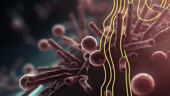 Eine Abbildung eines Coronaviruses © Imago Images 