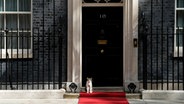 Kater Larry sitzt am Eingang der 10 Downing Street in London (Großbritannien). © AP/dpa Foto: Frank Augstein