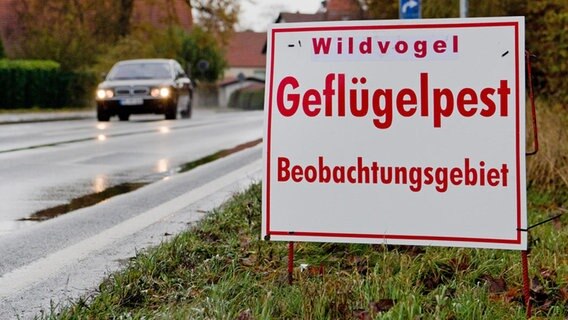 Ein Schild mit der Aufschrift "Wildvogel Geflügelpest Beobachtungsgebiet" steht am Straßenrand in Sehnde-Haimar an der Grenze der Region Hannover. © dpa Foto: Julian Stratenschulte