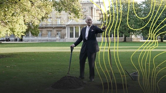 König Charles III. pflanzt eine Linde in der Nähe des Teehauses im Garten des Buckingham-Palastes für das "Queen's Green Canopy". © picture alliance 