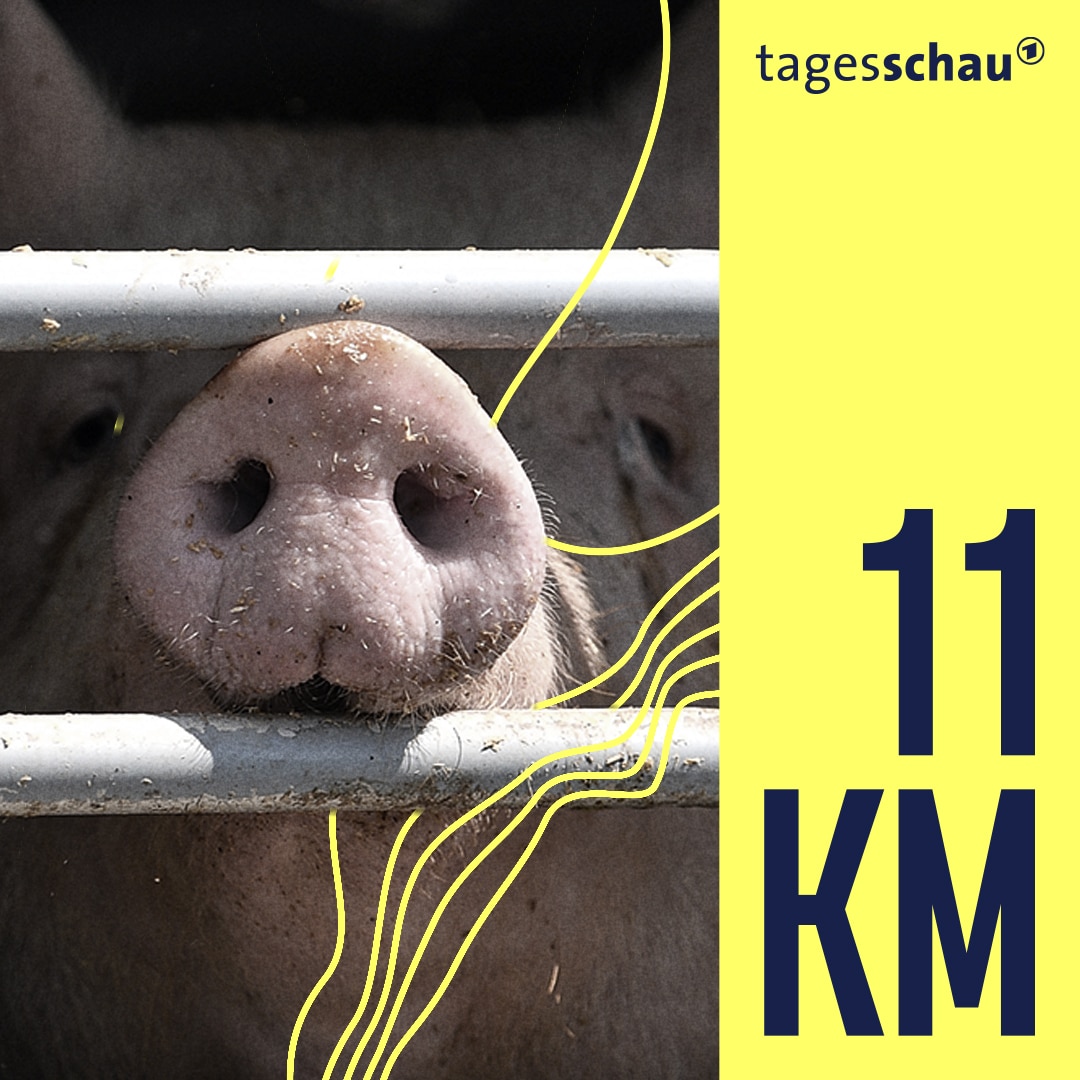 11KM: der tagesschau-Podcast