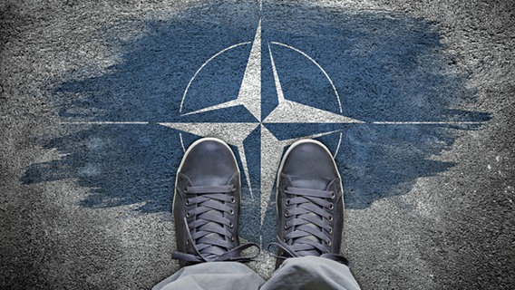 Eine Person steht mit den Schuhen auf Asphalt, auf dem ein Natostern gemalt ist. © fotolia Foto: adzicnatasa