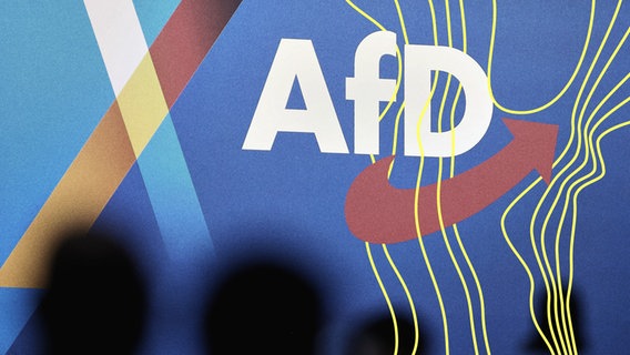Blick in die Halles beim Bundesparteitag der AfD. © picture alliance 