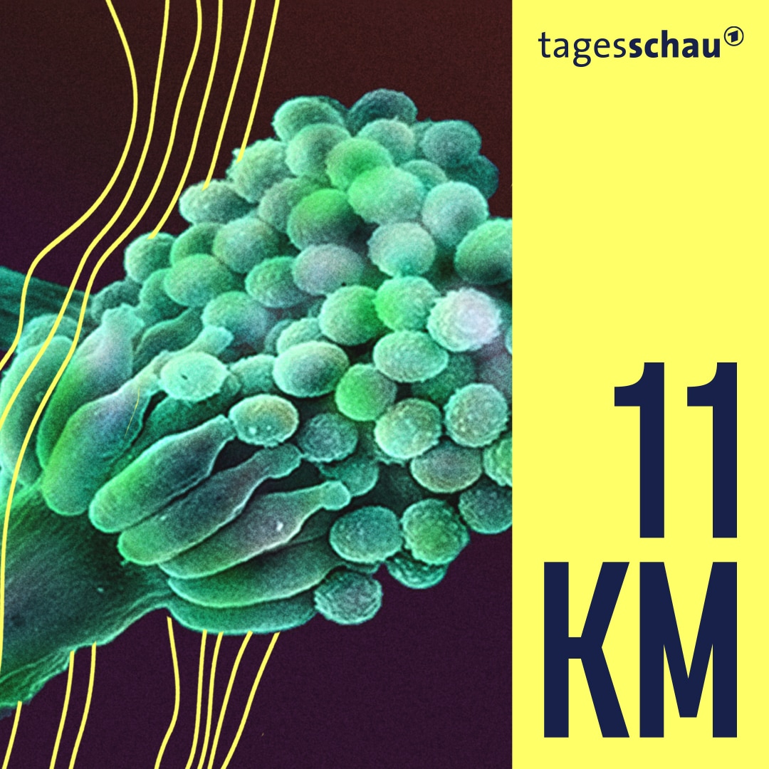 11KM: der tagesschau-Podcast