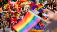 Teilnehmer der Gay Pride Parade in New York © picture alliance / ASSOCIATED PRESS Foto: Mary Altaffer