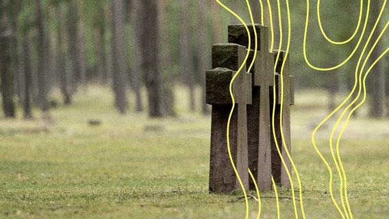 Drei Steinkreuze im Soldatenfriedhof, Waldfriedhof Halbe, eine der größten Kriegsgräberstätten Deutschlands für 28.000 Opfer des Zweiten Weltkriegs. © picture alliance Foto: Andreas Vitting