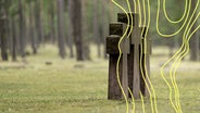 Drei Steinkreuze im Soldatenfriedhof, Waldfriedhof Halbe, eine der größten Kriegsgräberstätten Deutschlands für 28.000 Opfer des Zweiten Weltkriegs. © picture alliance Foto: Andreas Vitting