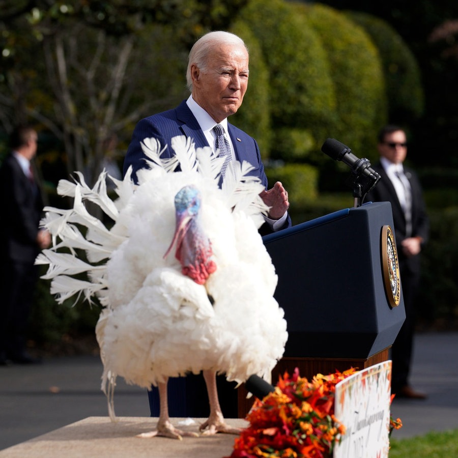 Joe Biden begnadigt einen Tuthahn an Thangsgiving im Garten des Weißen Hauses. © picture alliance Foto: Yuri Gripas