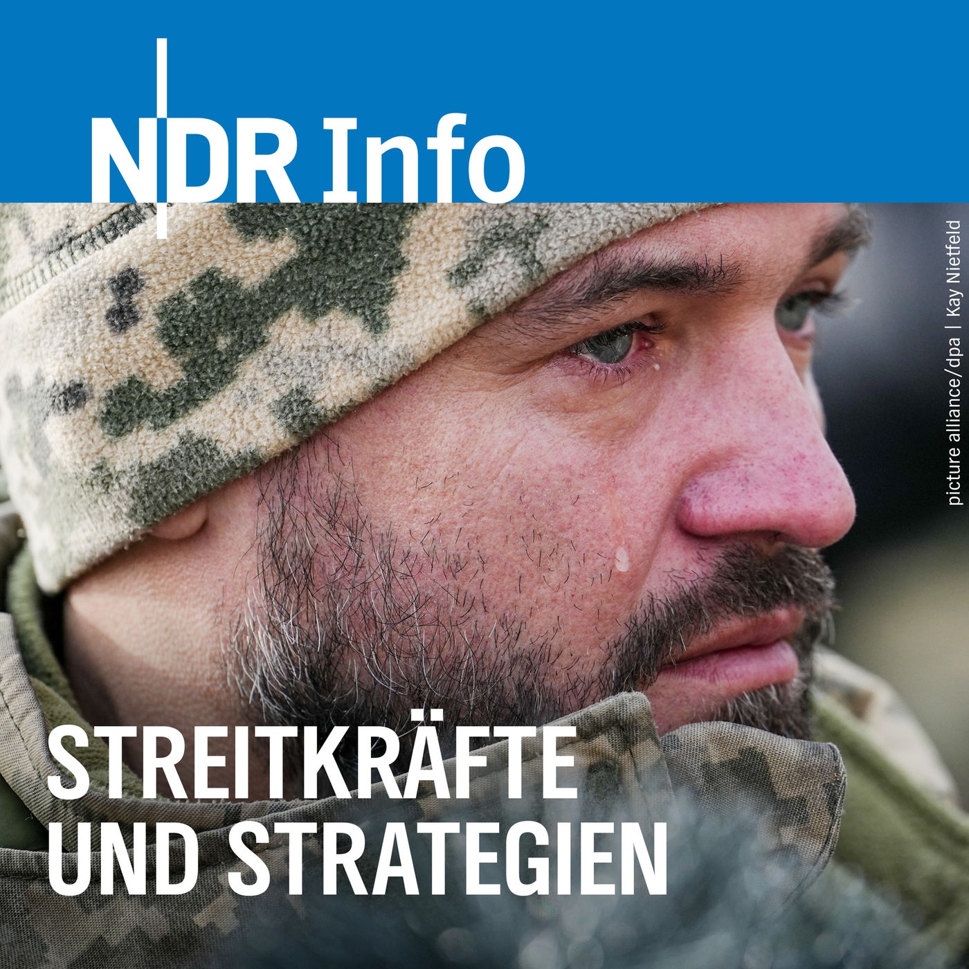 Streitkräfte und Strategien