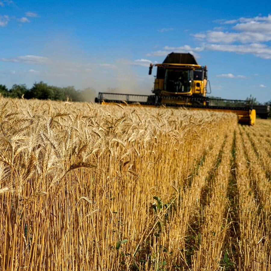 Ein Mähdrescher fährt über ein Feld in der Süd-Ukraine © picture alliance / ASSOCIATED PRESS | Uncredited 