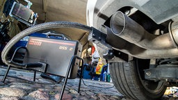 Ein Messschlauch eines Gerätes zur Abgasuntersuchung für Dieselmotoren steckt im Auspuffrohr eines VW Golf TDI. © dpa bildfunk Foto: Patrick Pleul