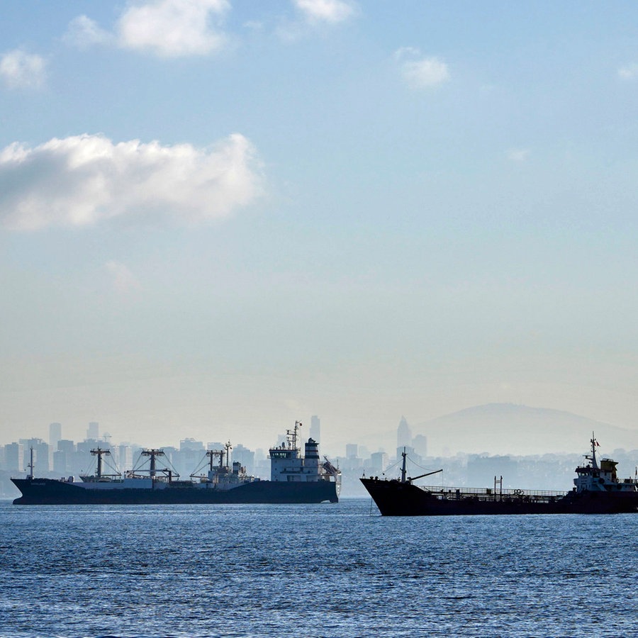 Frachtschiffe liegen vor Anker in Istanbul und warten auf die Durchfahrt durch die Bosporusstraße. © AP/dpa Foto: Khalil Hamra