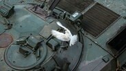Eine weiße Taube fliegt über ein ukrainisches Luftkampffahrzeug bei einer Ausstellung erbeuteter ukrainischer Panzer und Waffen in Lyssytschansk. © Uncredited/AP/dpa 