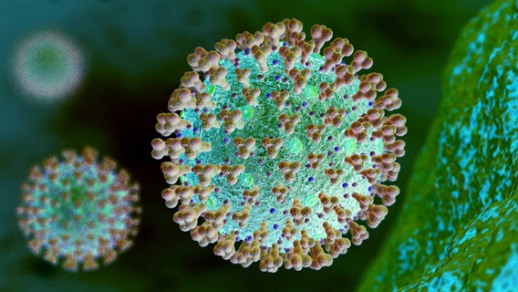 Illustrazione al computer del coronavirus © imago Images/MiS 