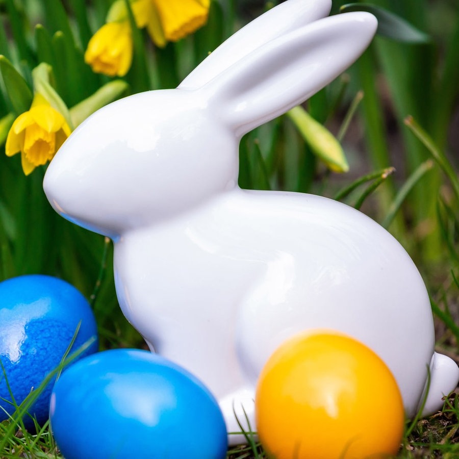 Ein weißer Porzellan-Hase mit bemalten Eiern vor gelben Narzissen im Gras © picture alliance / Andreas Franke Foto: Andreas Franke