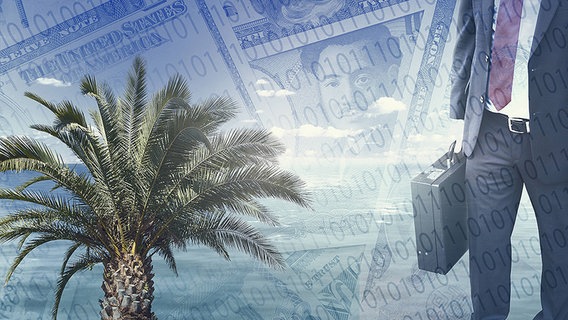 Eine Bildmontage zeigt einen Mann mit Koffer in der Hand neben einer Palme und Dollar-Noten im Hintergrund. © Imago/STPP Foto: Bildmontage/Paradise Papers