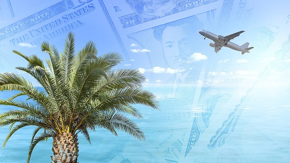 Eine Bildmontage zeigt ein Flugzeug neben einer Palme und Meer und Dollar-Noten im Hintergrund. © Imago/STPP Foto: Bildmontage/Paradise Papers