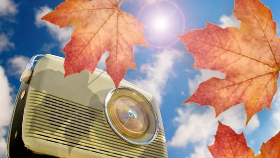 Radio vor blauem Himmel und Herbstblättern (Montage) © iStockphoto Foto: René Mansi, Smileus