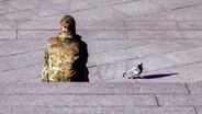 Ein  Bundeswehrsoldat sitzt auf einer Treppe, daneben eine Taube. © picture alliance Foto: Christoph Hardt