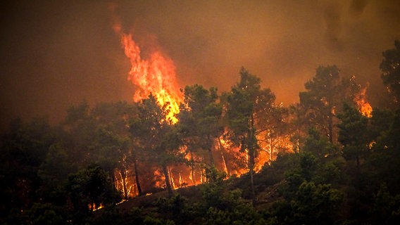 Waldbrand auf Rhodos © Argyris Mantikos/Eurokinissi/AP/dpa 