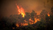 Flammen sind bei einem großen Waldbrand auf der griechischen Insel Rhodos zu sehen. © picture alliance/dpa/Eurokinissi/AP | Argyris Mantikos 